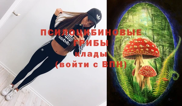 mdpv Алзамай